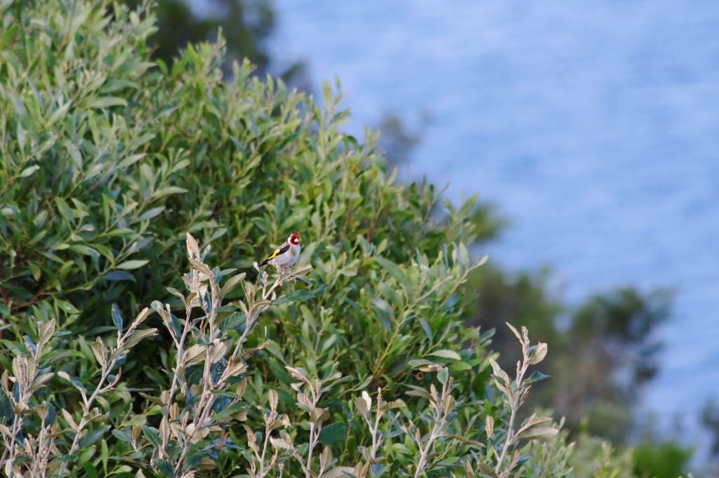 22 - Wynyard (6).jpg